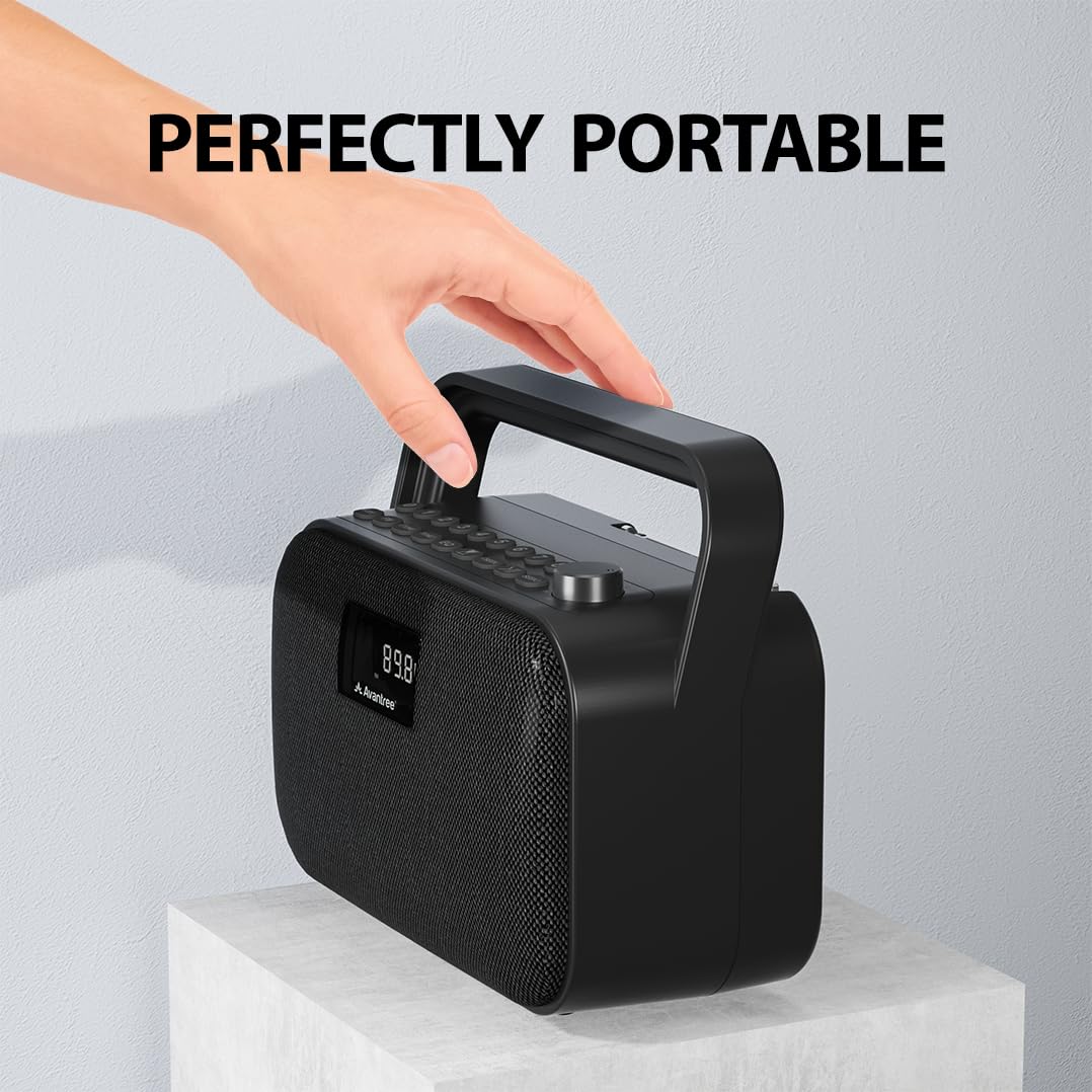 Portable FM Radio with 30W Stereo Bluetooth Speaker N748