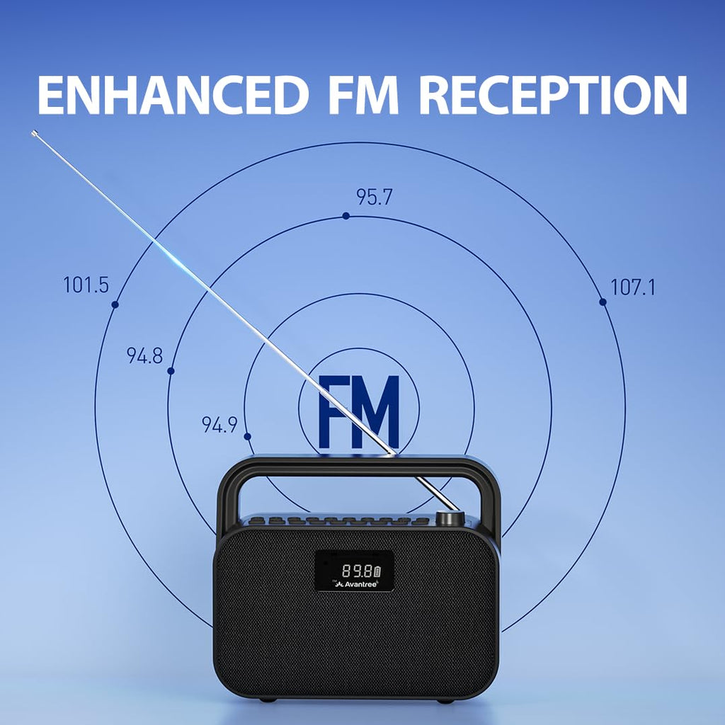 Portable FM Radio with 30W Stereo Bluetooth Speaker N748