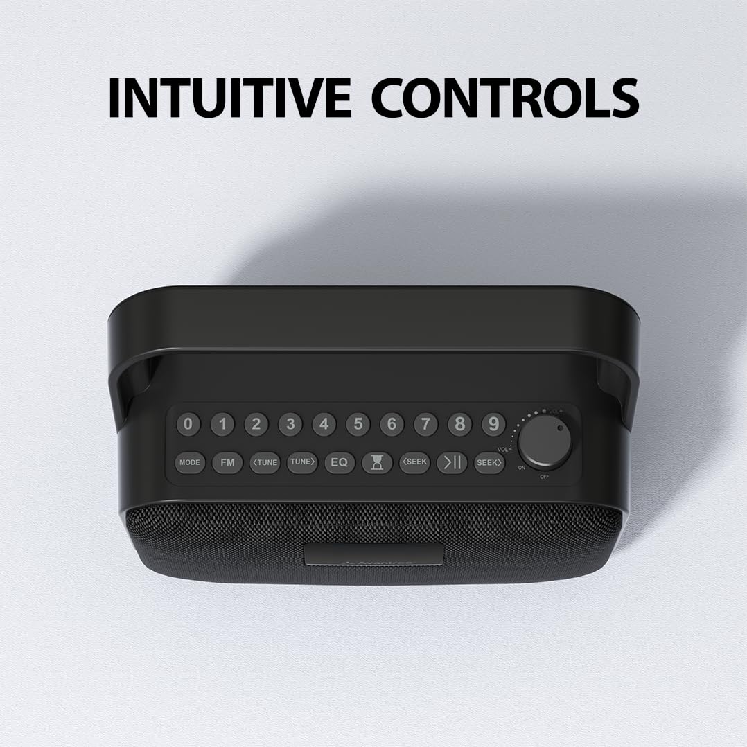 Portable FM Radio with 30W Stereo Bluetooth Speaker N748