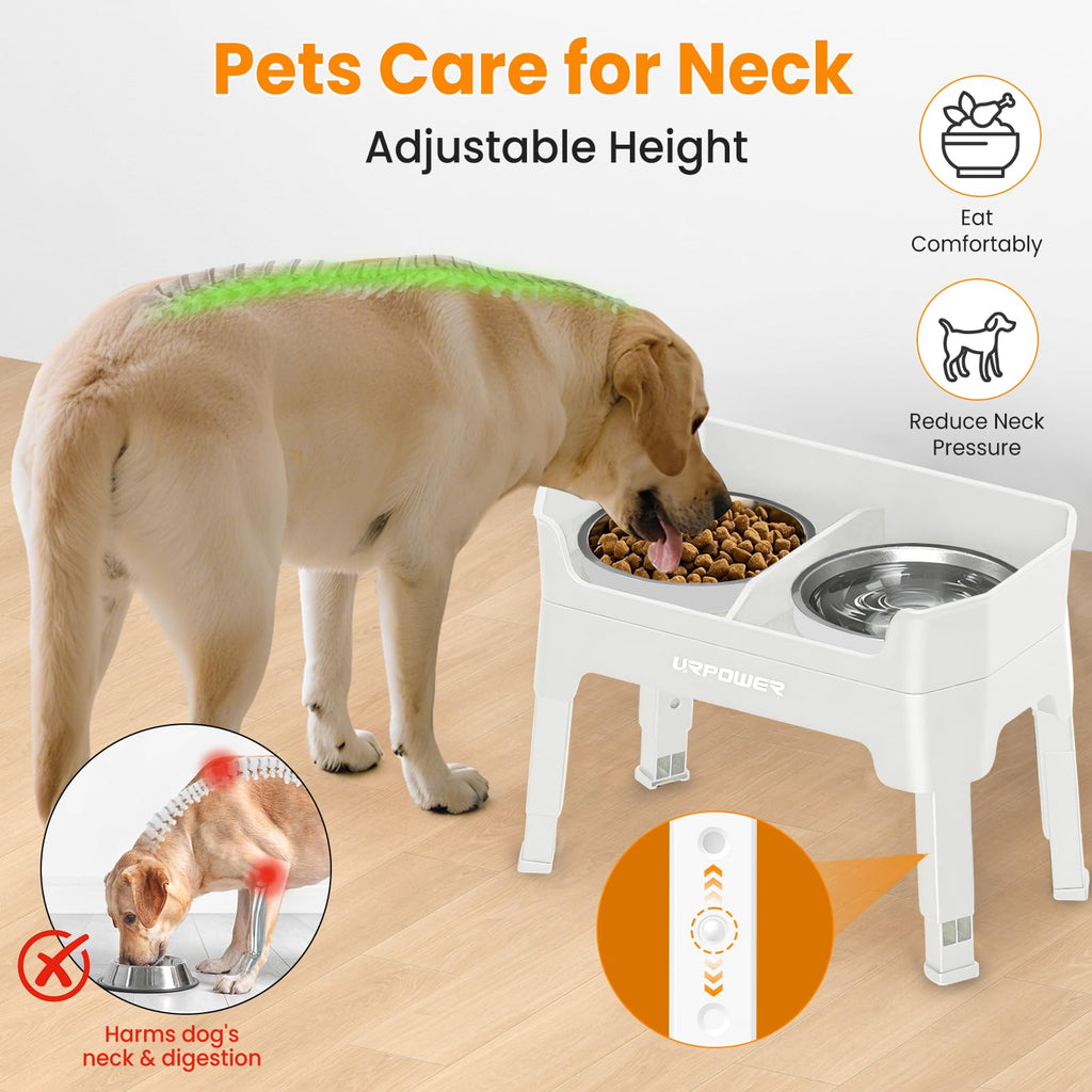 Elevated Dog Bowls B359