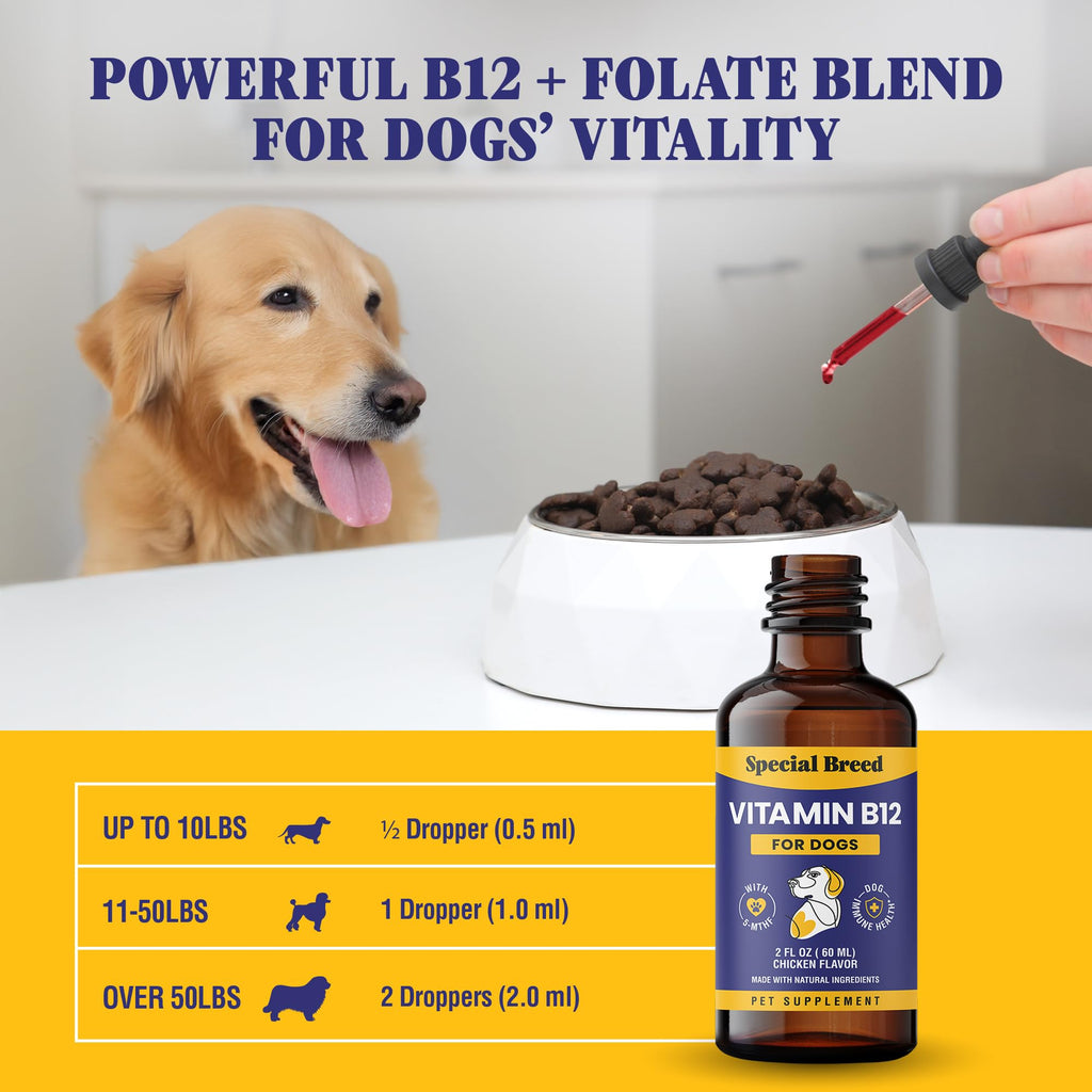 Liquid Vitamin B12 for Dogs, Chicken Flavor, 2 fl oz I9470
