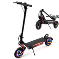 500W Electric Scooter with 10" Tires N8821