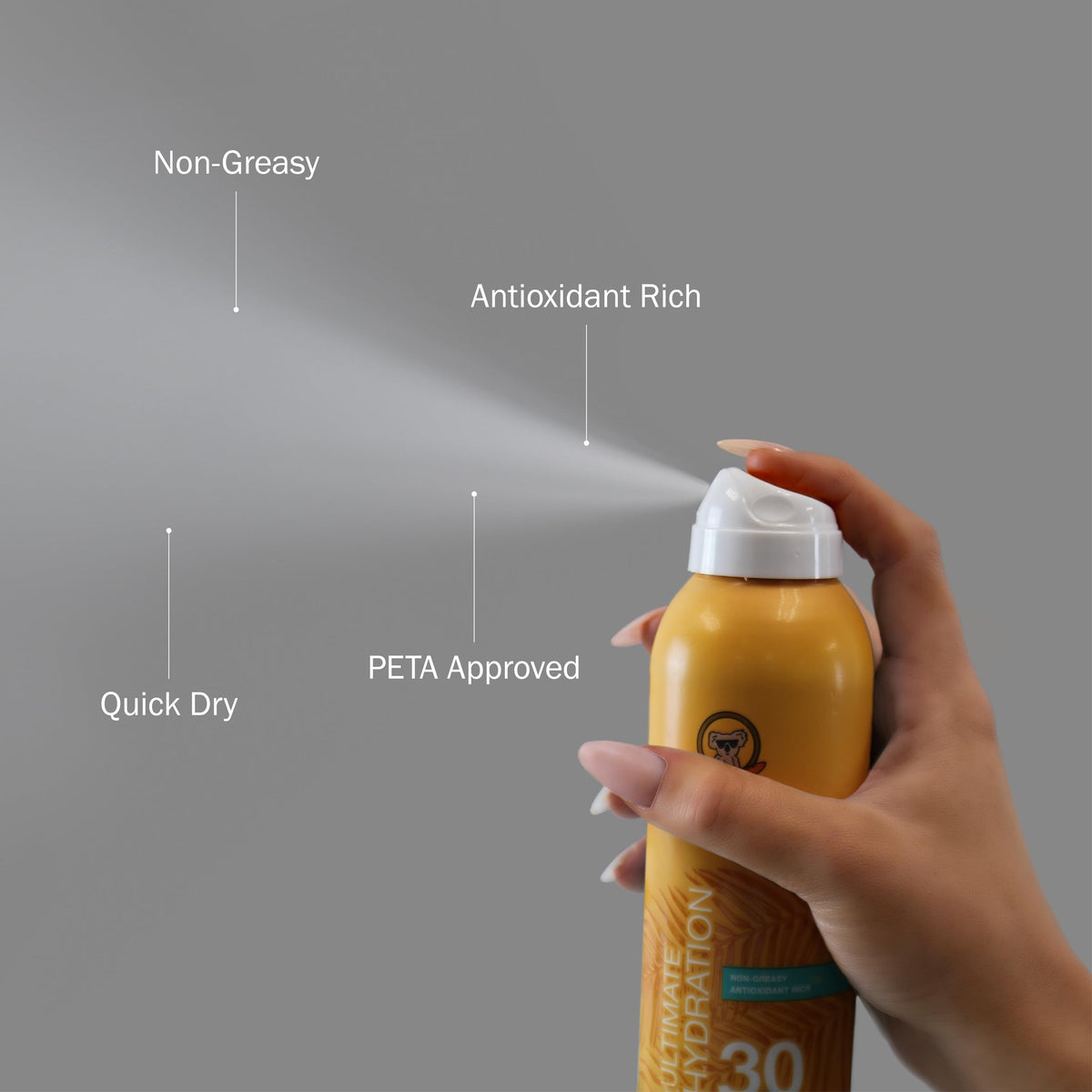 SPF 30 Continuous Spray Sunscreen Z863