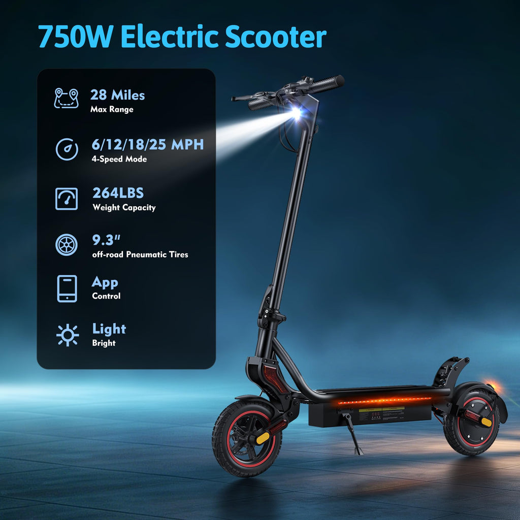 500W Electric Scooter with 10" Tires N8821