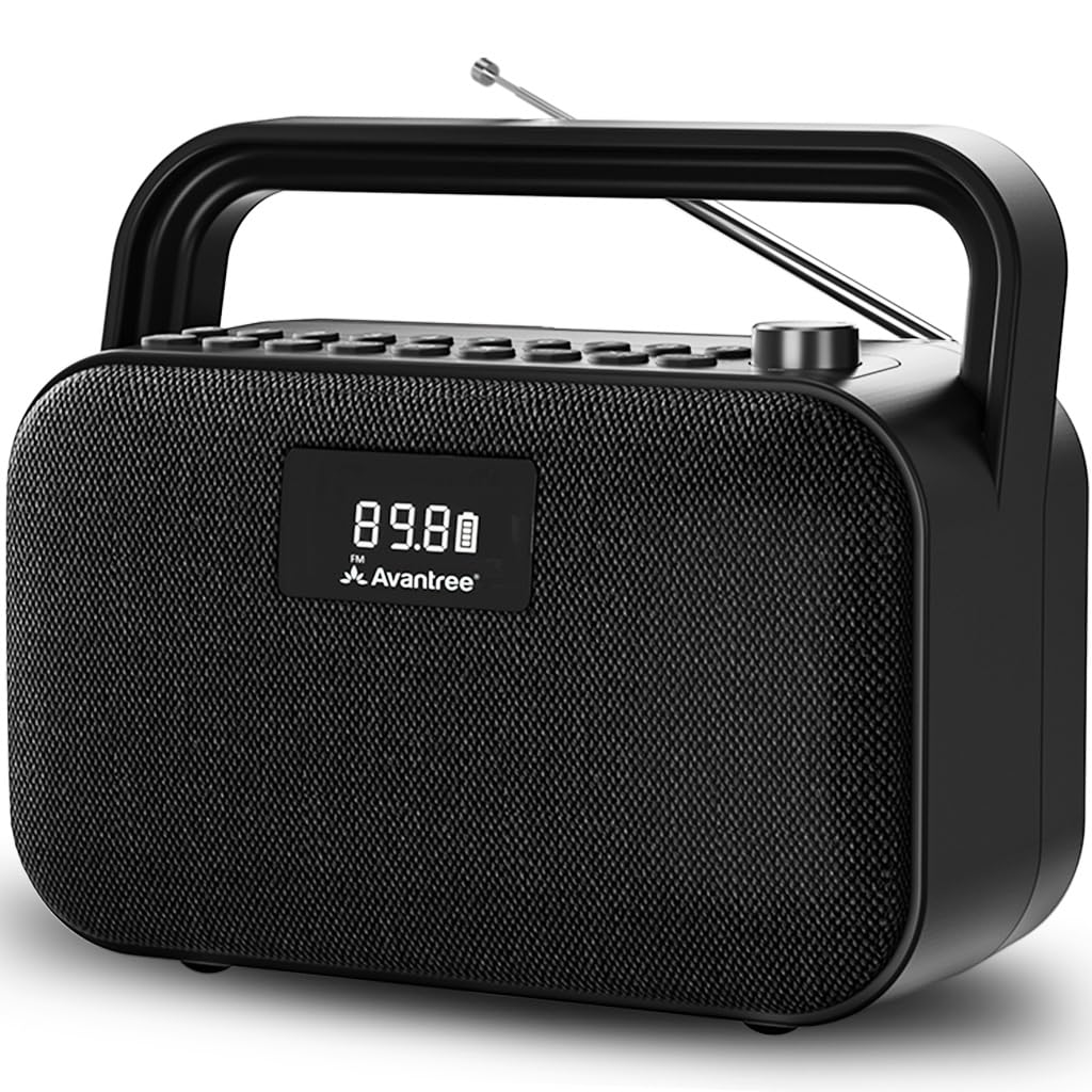Portable FM Radio with 30W Stereo Bluetooth Speaker N748