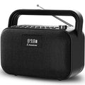 Portable FM Radio with 30W Stereo Bluetooth Speaker N748