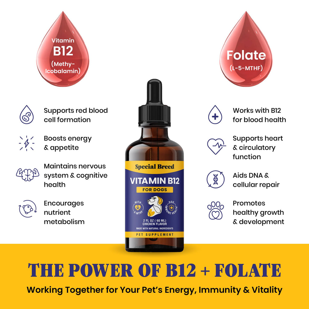 Liquid Vitamin B12 for Dogs, Chicken Flavor, 2 fl oz I9470