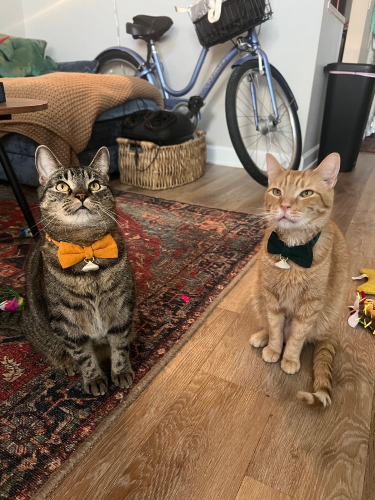 2 Pack Soft Corduroy Cat Collars with Bow Tie & Bell B845