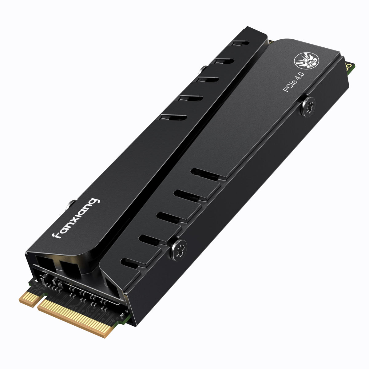 1TB NVMe M.2 SSD with Heatsink and DRAM J5161