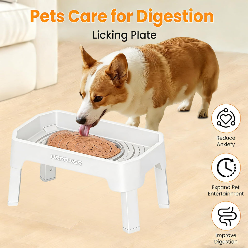 Elevated Dog Bowls B359