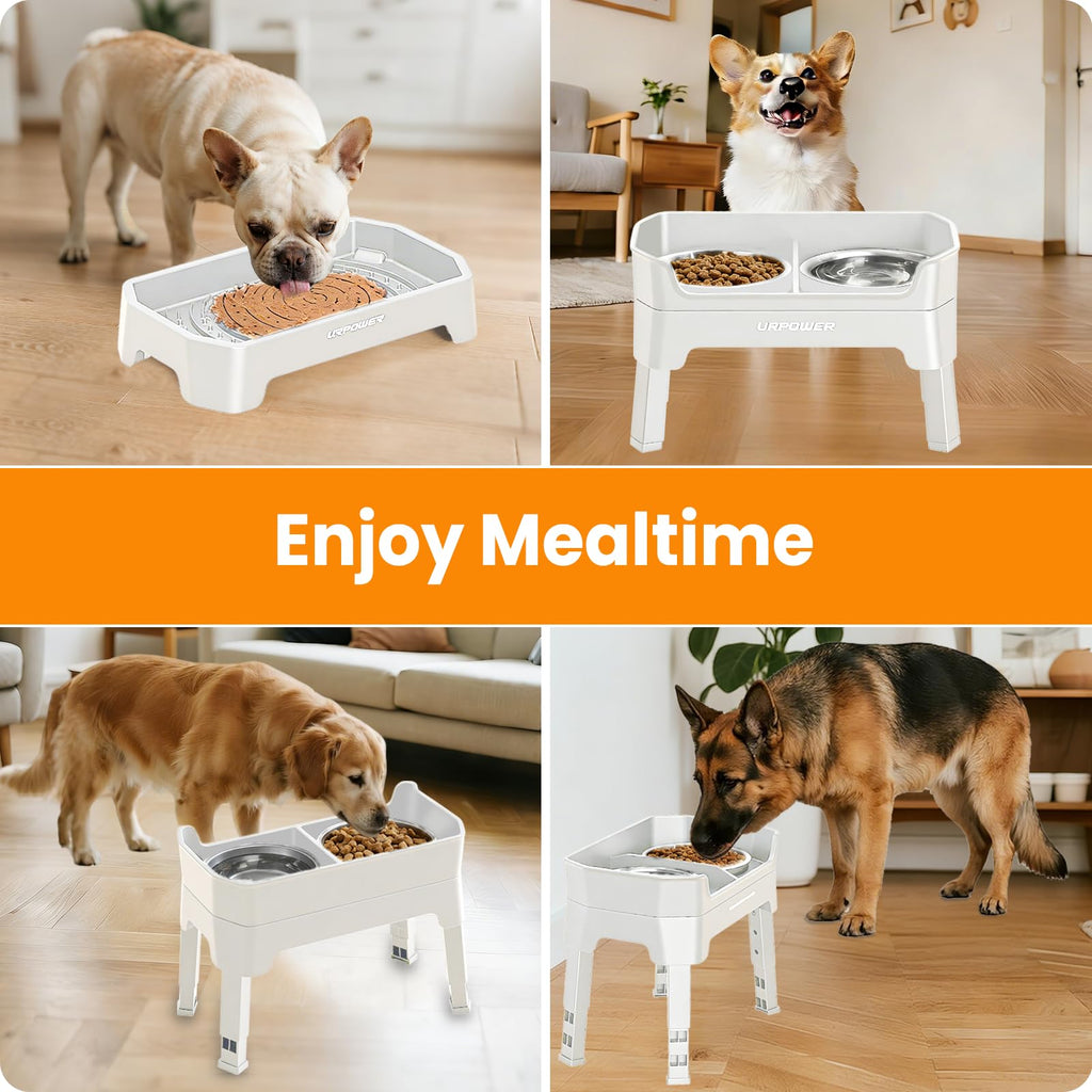 Elevated Dog Bowls B359