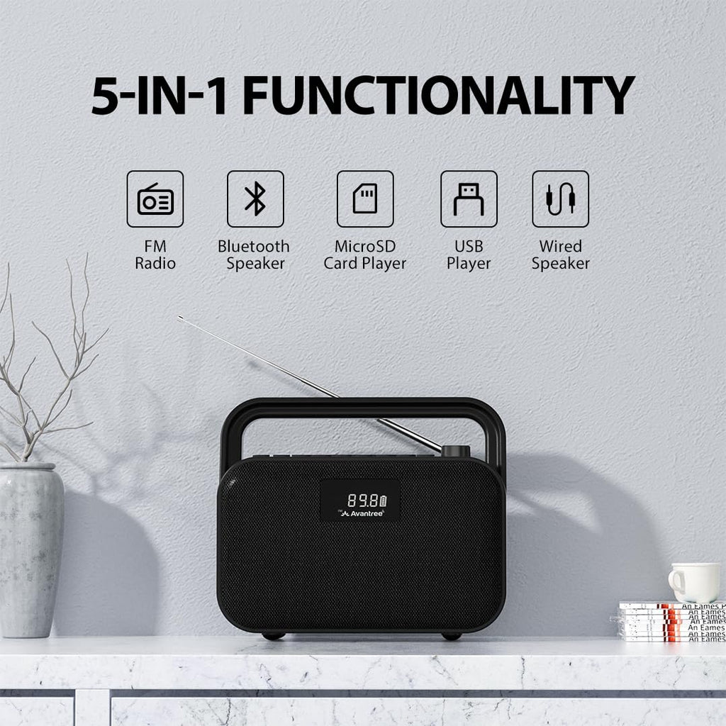 Portable FM Radio with 30W Stereo Bluetooth Speaker N748