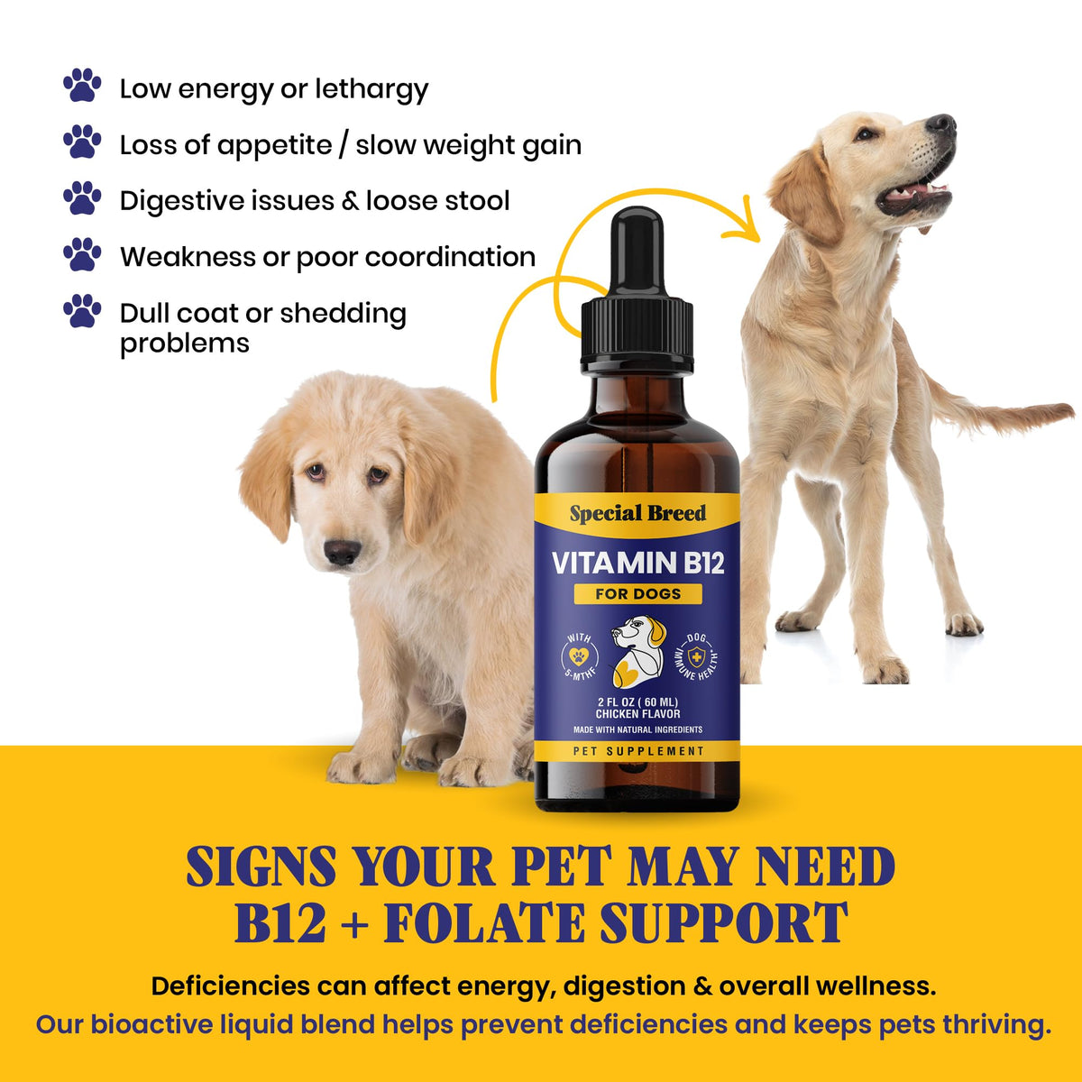 Liquid Vitamin B12 for Dogs, Chicken Flavor, 2 fl oz I9470