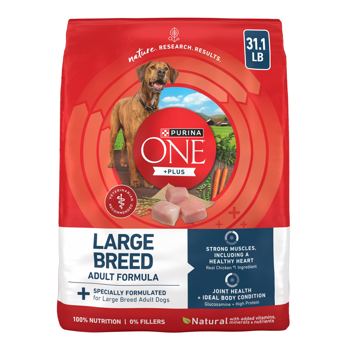 Chicken Large Breed Dry Dog Food 31.1 lb Bag E766