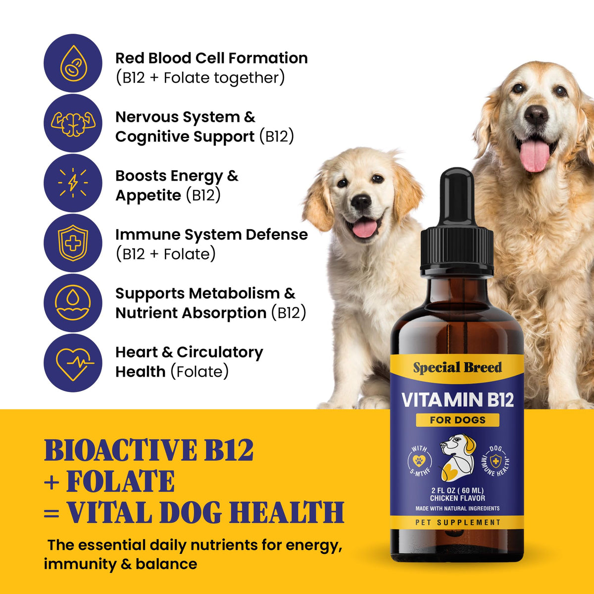 Liquid Vitamin B12 for Dogs, Chicken Flavor, 2 fl oz I9470
