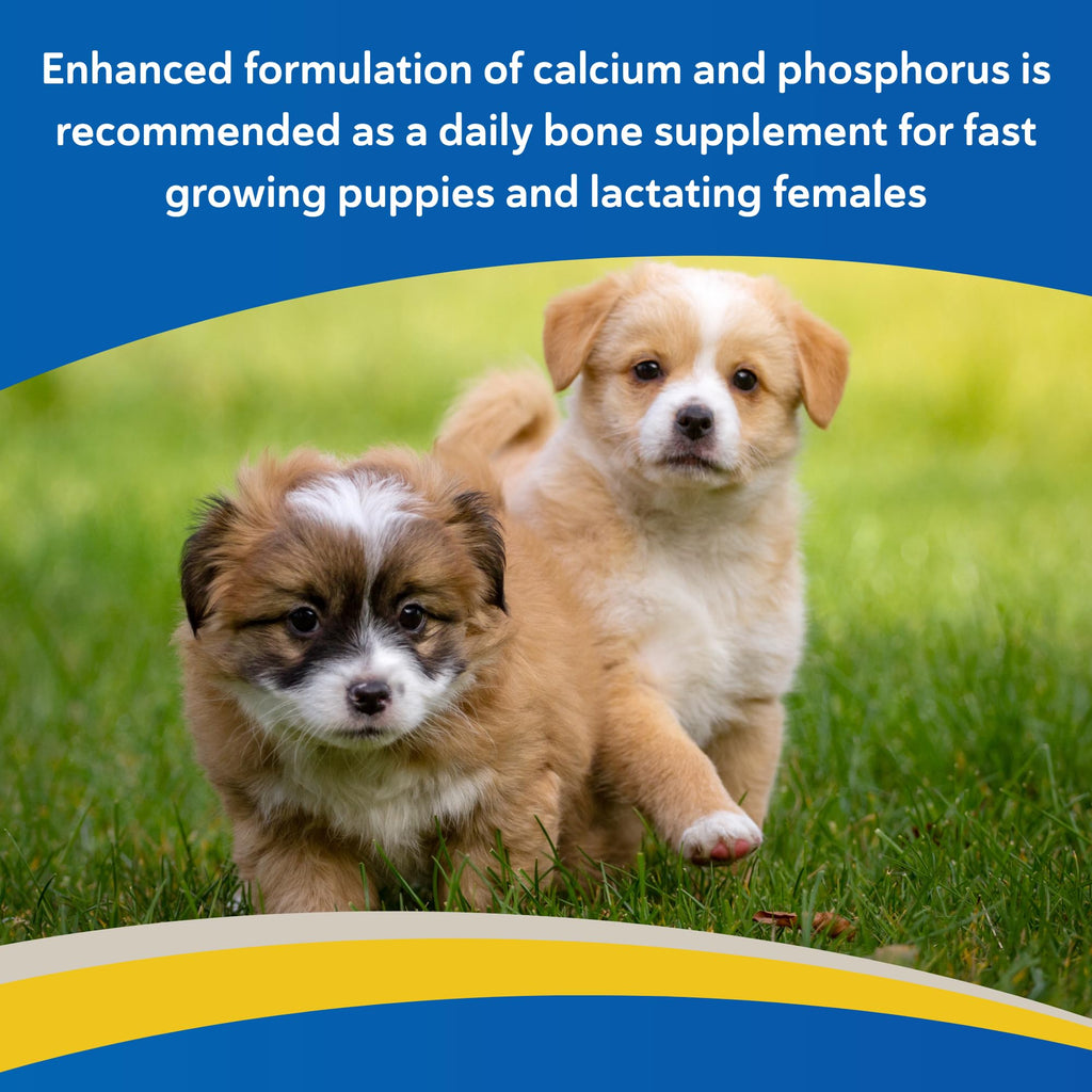 Calcium & Phosphorus Chews for Dogs & Cats, 100ct H7138