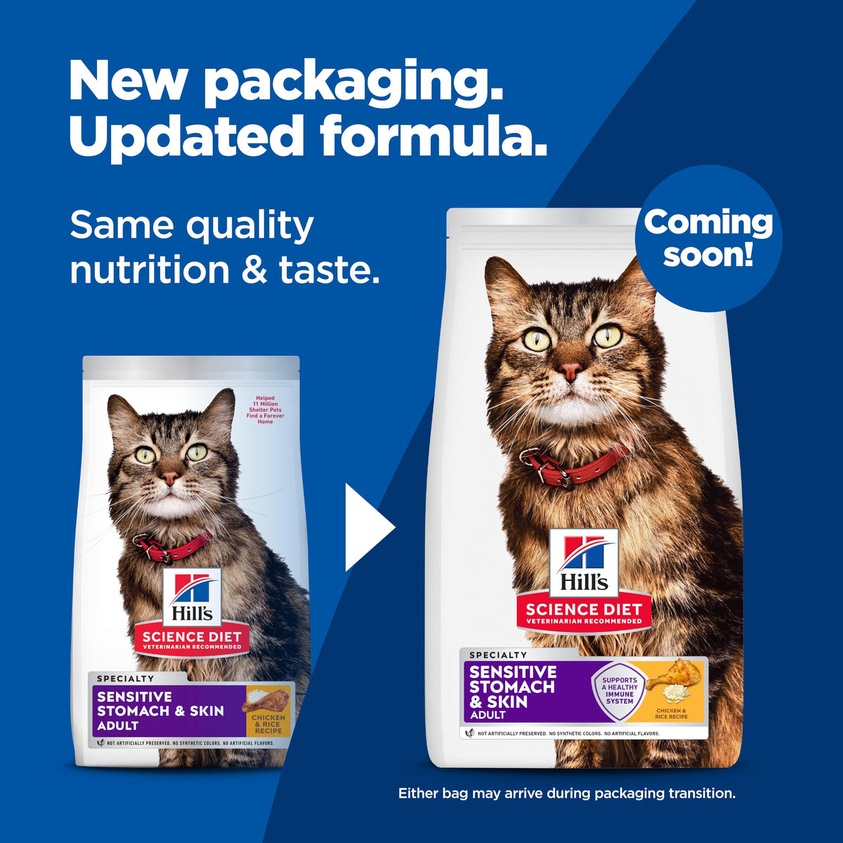 Sensitive Stomach & Skin Dry Cat Food E665597