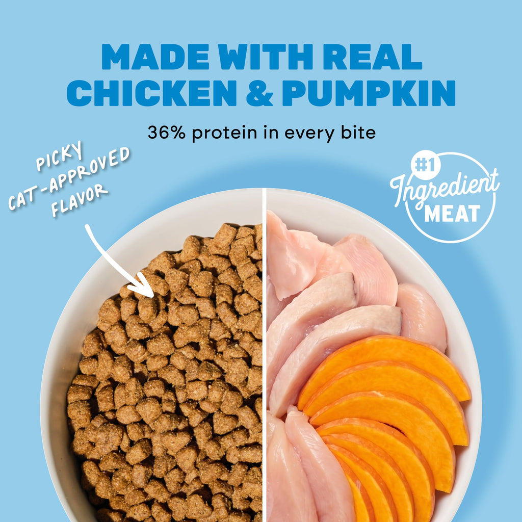 Grain Free Chicken Pumpkin Dry Cat Food N84524