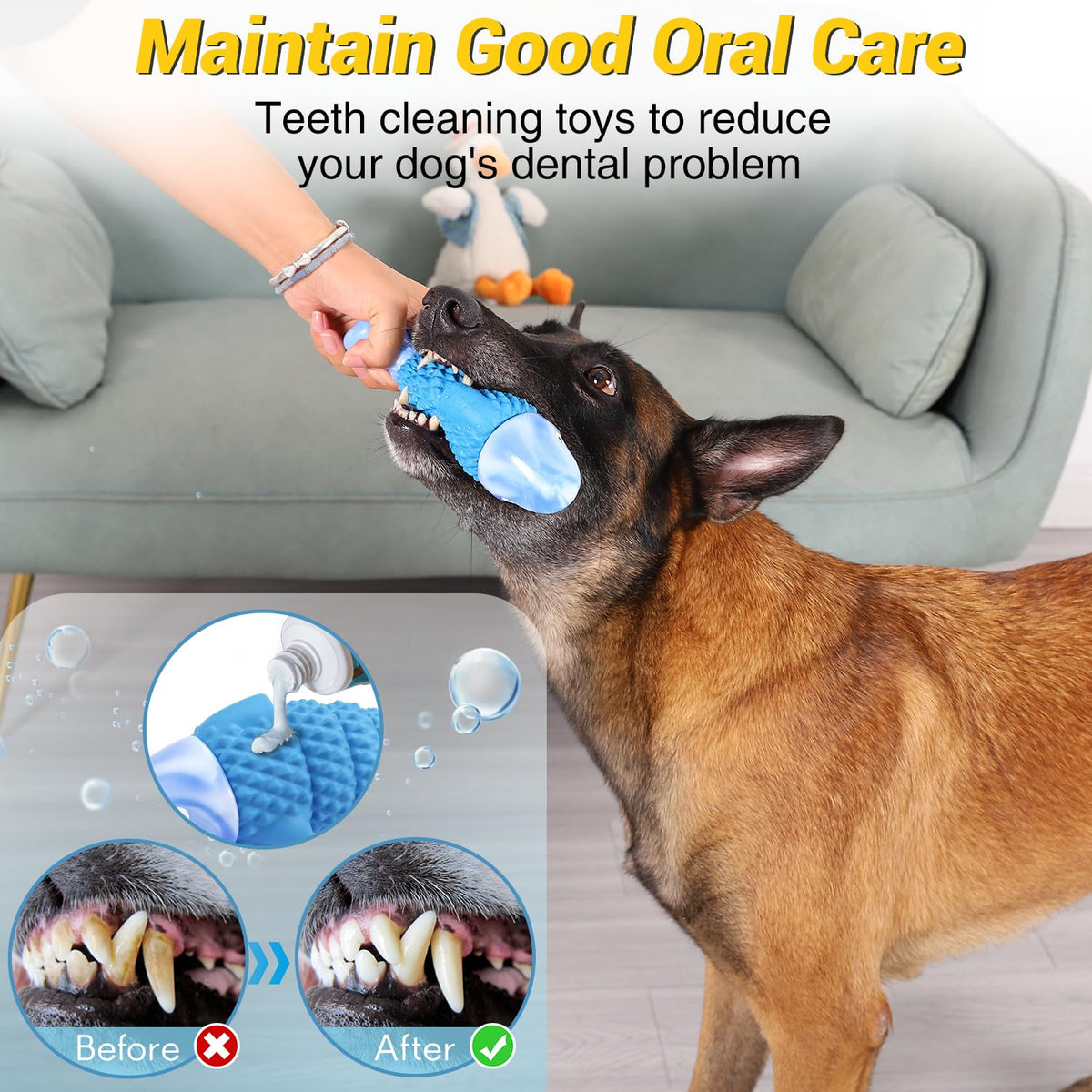 Tough Dog Chew Toys B844334