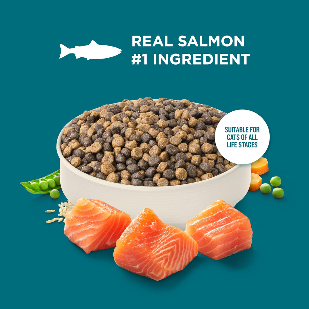 Salmon & Brown Rice Recipe Dry Cat Food 14 lb. Bag K15358