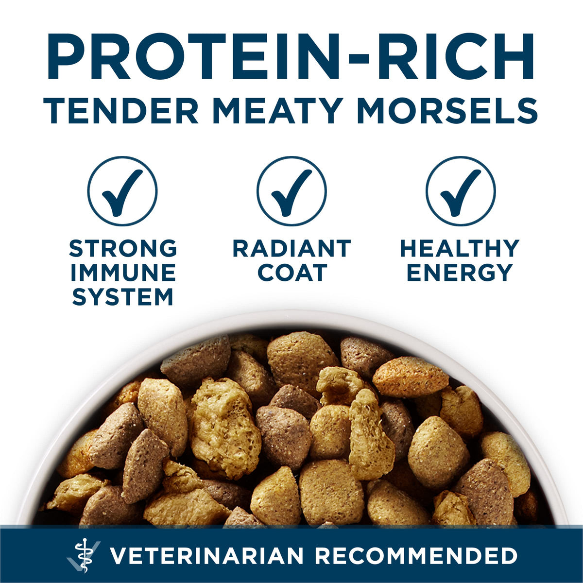 Chicken Large Breed Dry Dog Food 31.1 lb Bag E766