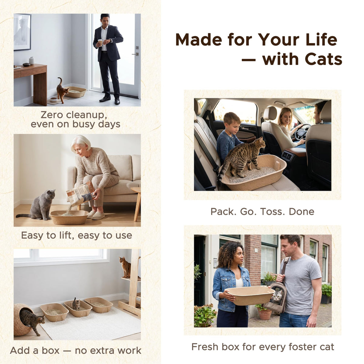 Disposable Litter Box for Kittens X297