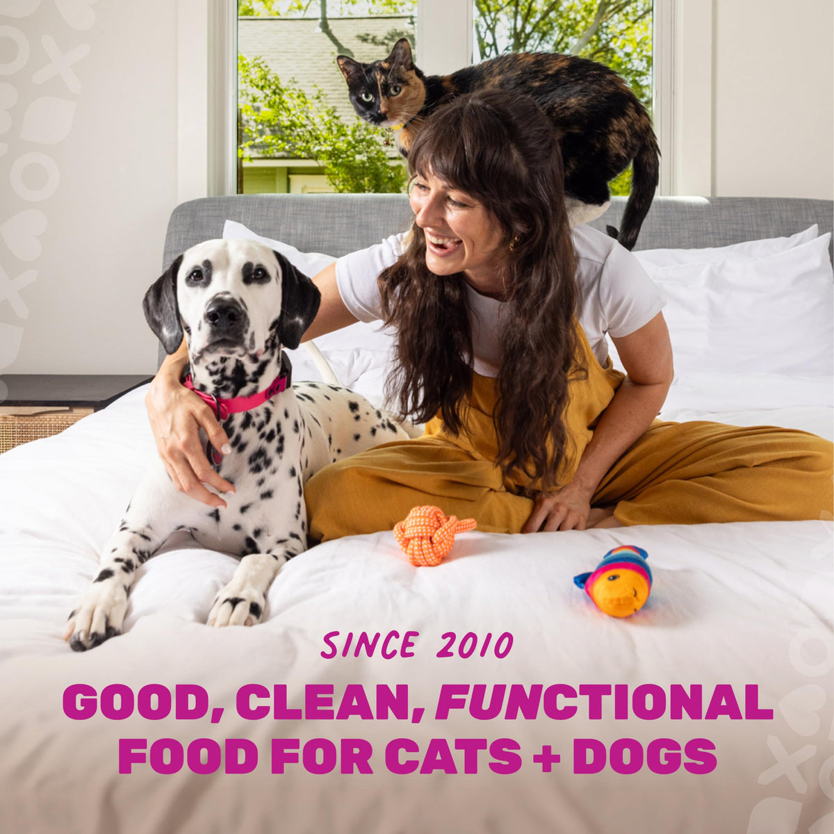 Grain Free Chicken Pumpkin Dry Cat Food N84524