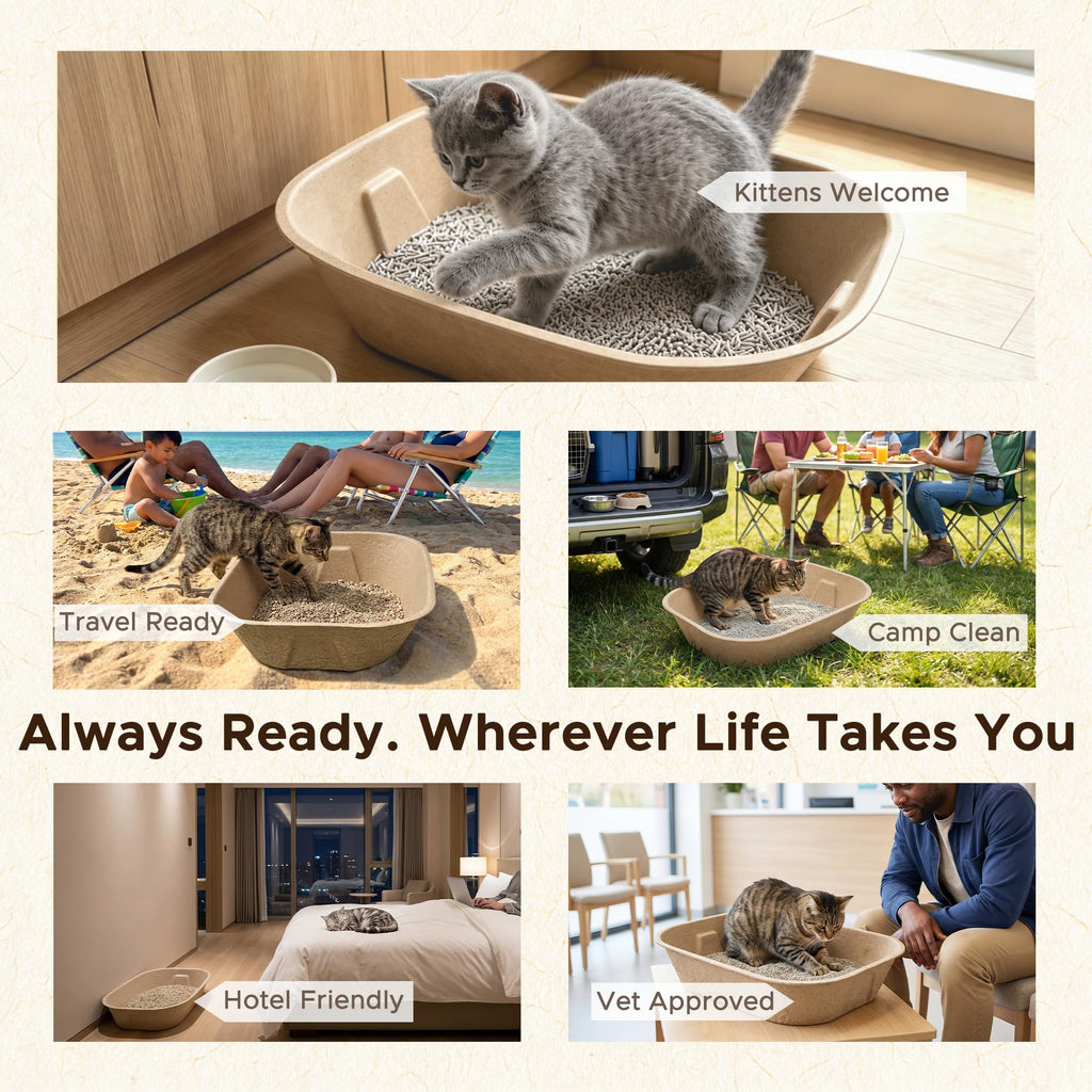 Disposable Litter Box for Kittens X297