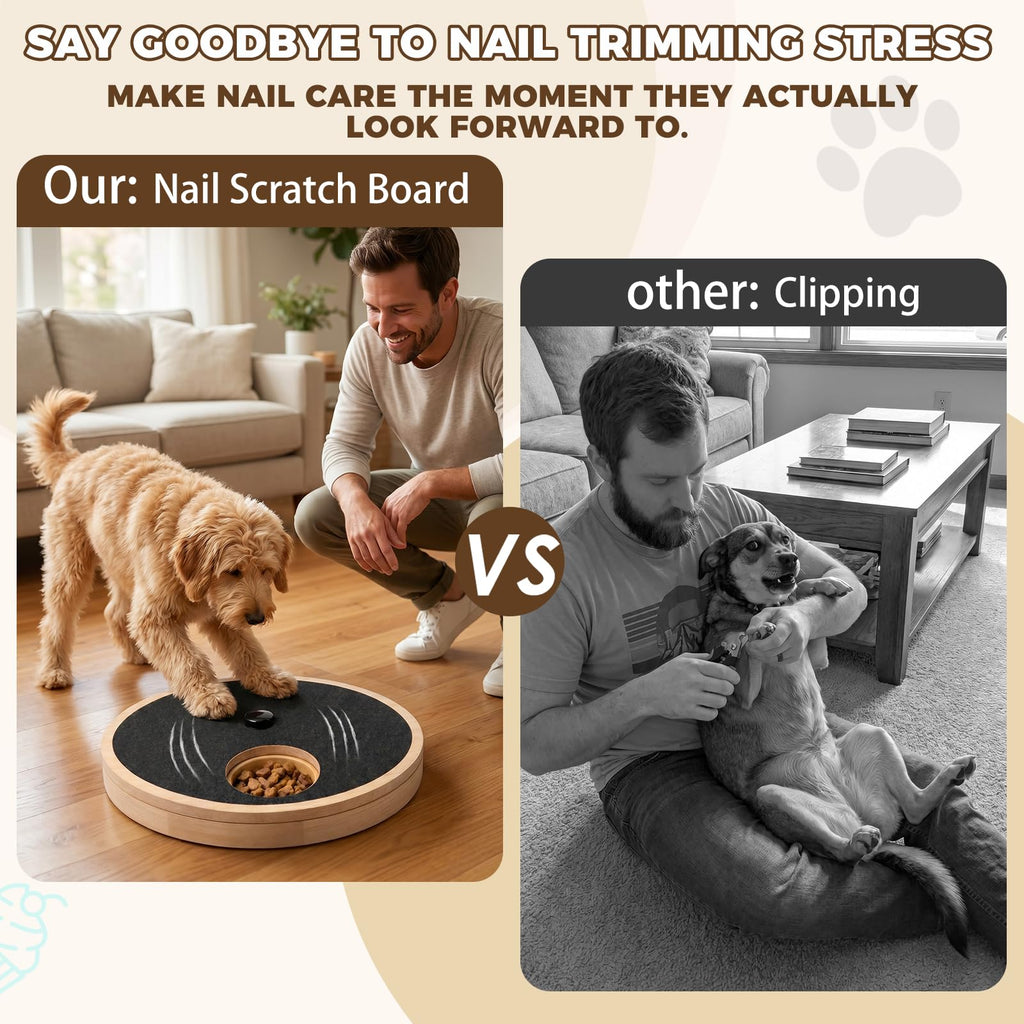 Dog Nail Scratch Board with Treat Box C820
