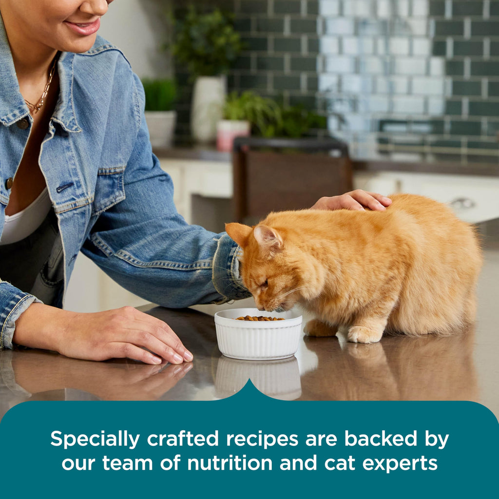 Salmon & Brown Rice Recipe Dry Cat Food 14 lb. Bag K15358