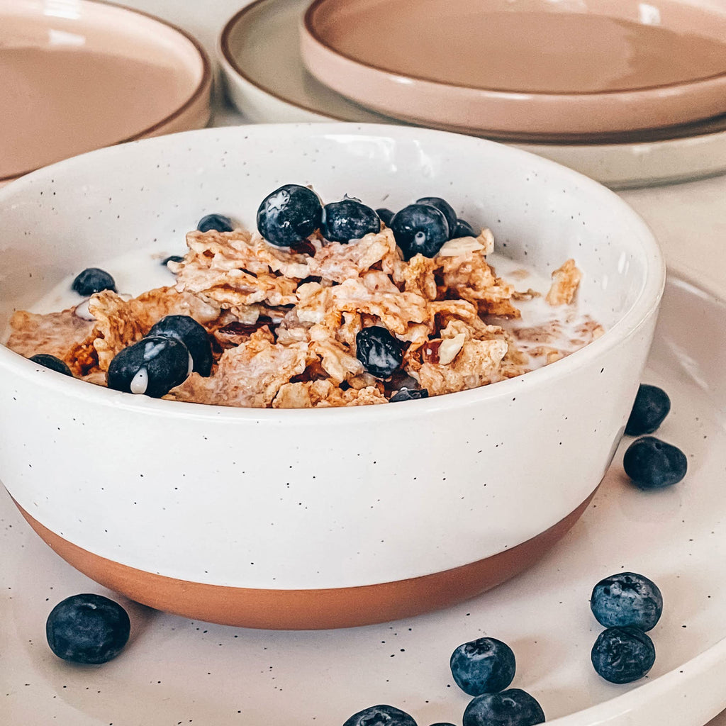 Ceramic Flat Bowls Set of 4 25 oz Porcelain Bowl L93947