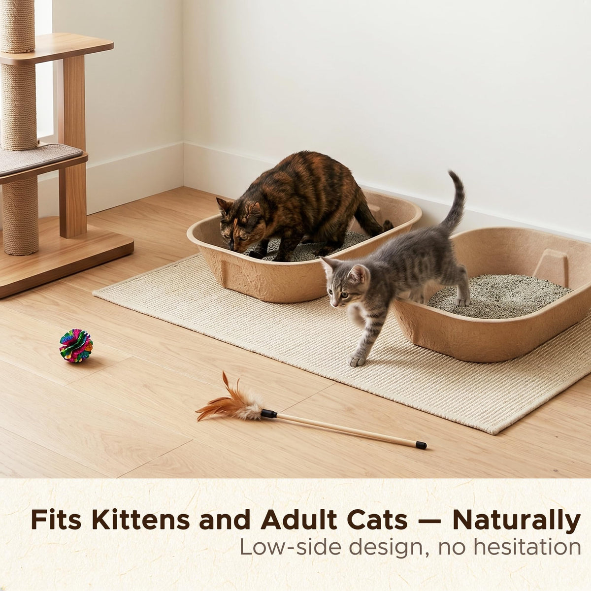Disposable Litter Box for Kittens X297