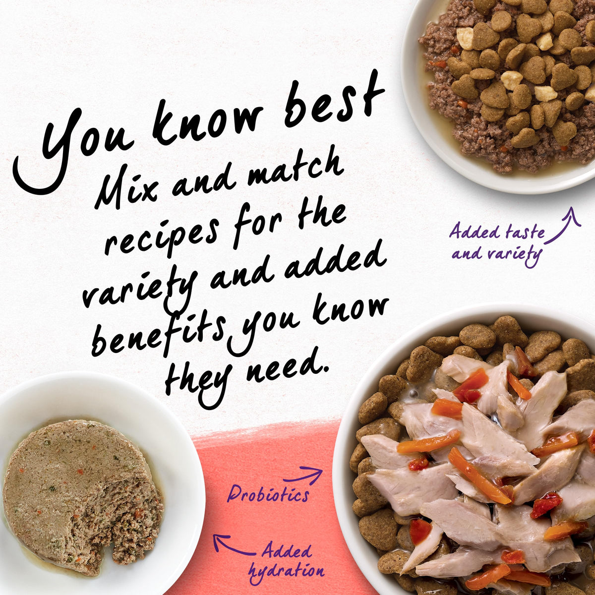 Grain Free Dry Cat Food Salmon, Egg and Sweet Potato Recipe 11 lb. Bag K10879