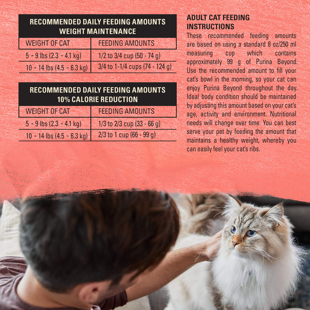 Grain Free Dry Cat Food Salmon, Egg and Sweet Potato Recipe 11 lb. Bag K10879