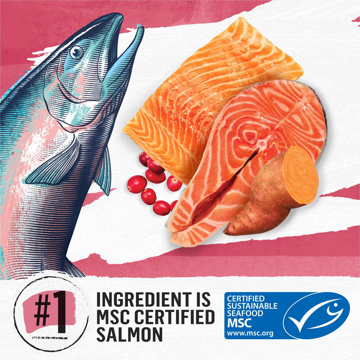 Grain Free Dry Cat Food Salmon, Egg and Sweet Potato Recipe 11 lb. Bag K10879